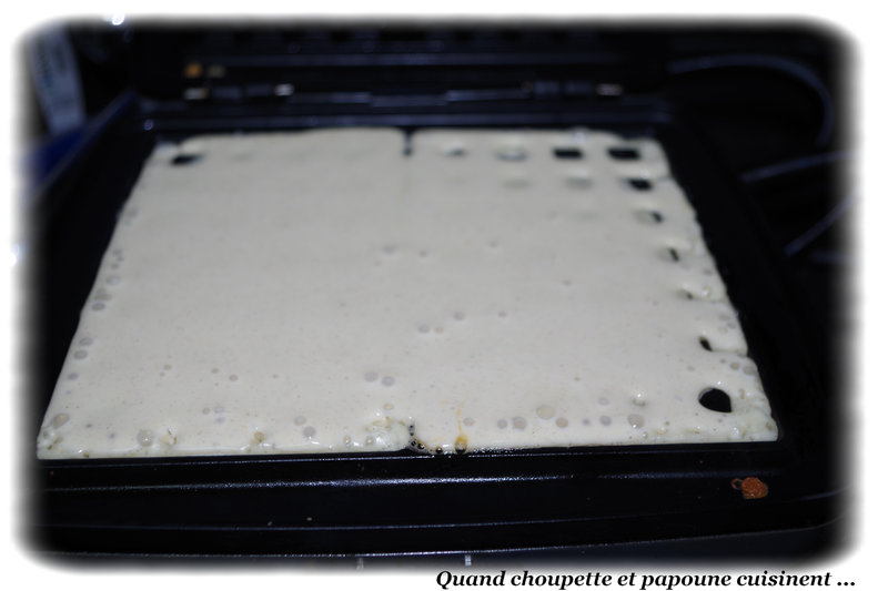 pâte à gaufres au TM-9759