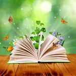 Fotolia_48565582_XS