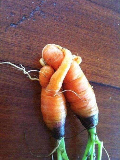 Pareidolie carotte