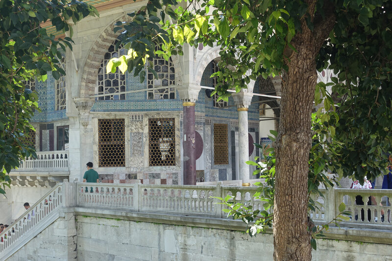 DSC07529