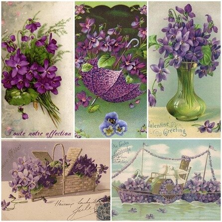 cartes violettes