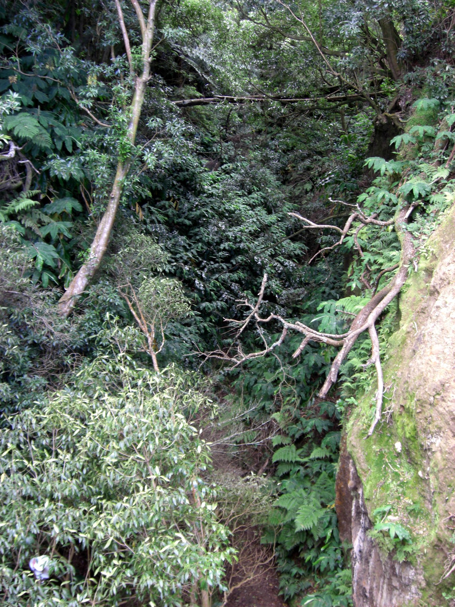CIMG0437