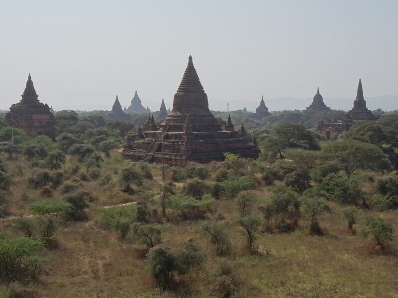 Bagan J3 (170)