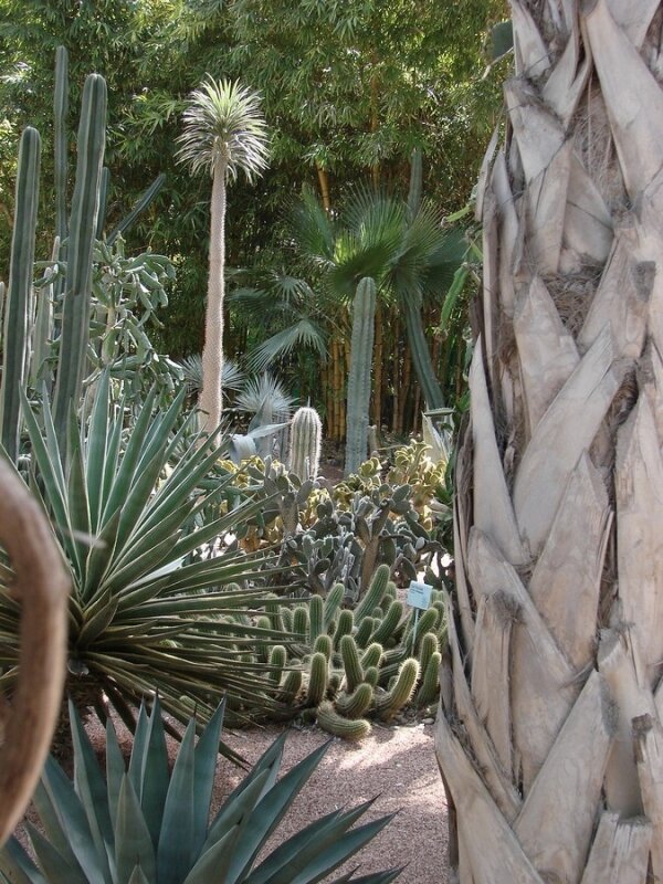 Les Jardins de Majorel (15)