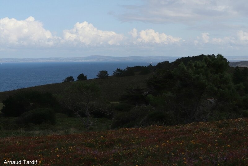 001121 Pouldreuzic - La Pointe du Raz - Le Ménez-Hom vu depuis la Pointe de Kastel Kroz blog