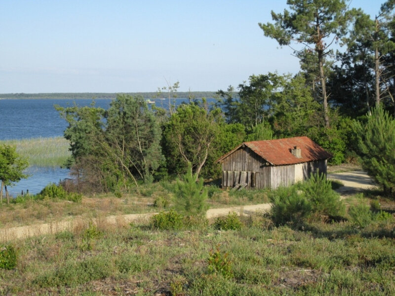 Photo-cabane-de-résiniers-à-la-Vieille-Pendelle