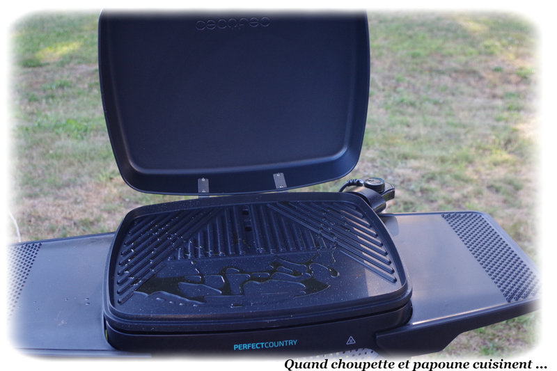couteaux au bbq et solution de replis-783
