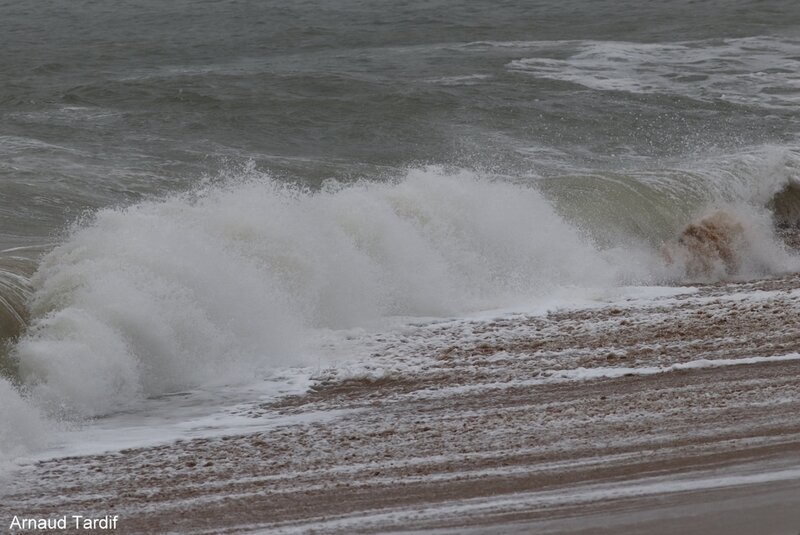 00102 Oléron Février 2020 - La Plage de la Gautrelle - A l'approche de la tempête Kiara