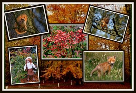 pauline en automne 2