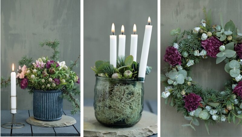 fleurs_hiver