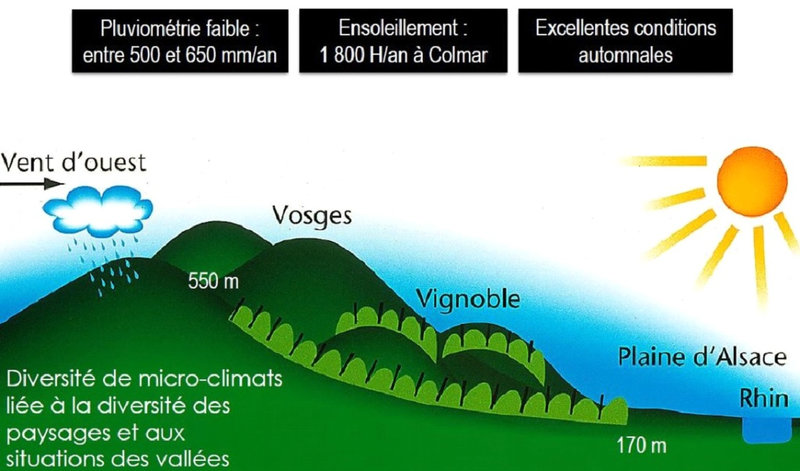 effet de foehn alsace