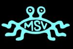 MSV_blue2