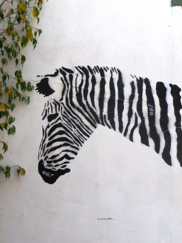 Crete 2009 054