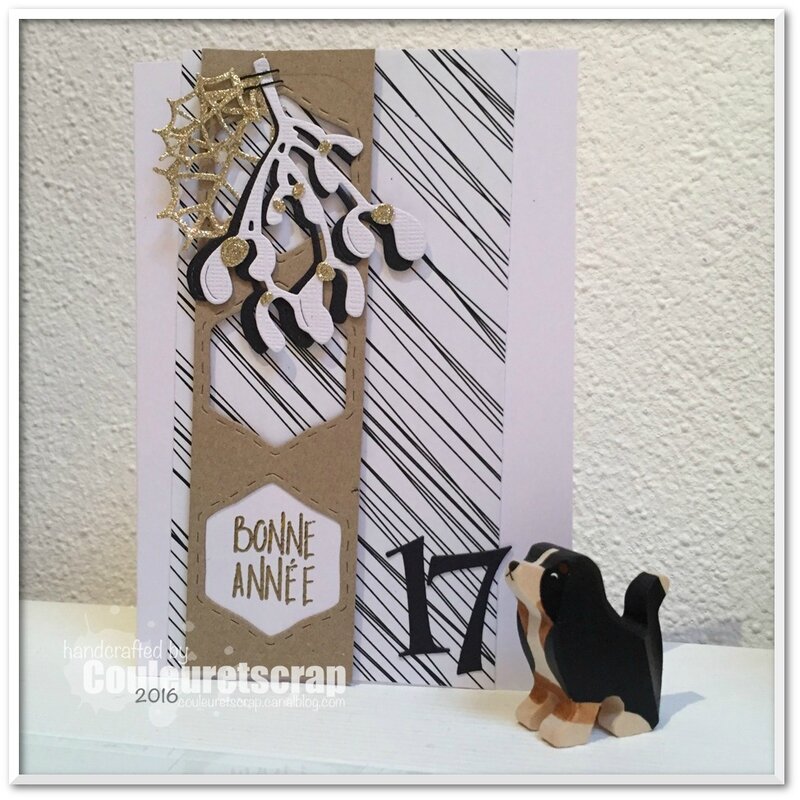 Couleuretscrap_pour_littlescrap_consignes_janvier