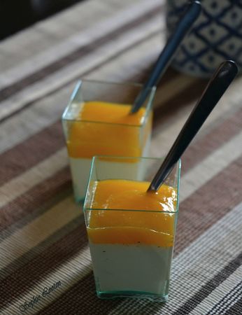 Panna cotta vanille mangue