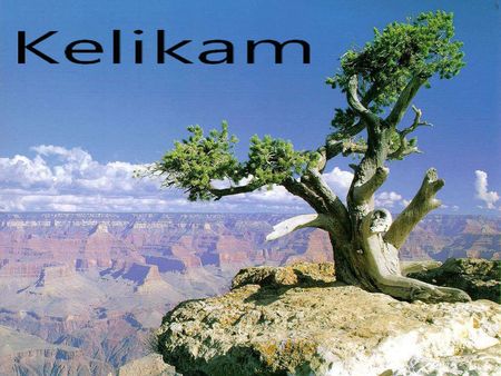 kelikam