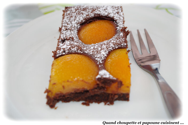 gâteau au chocolat et à l'abricot-0202