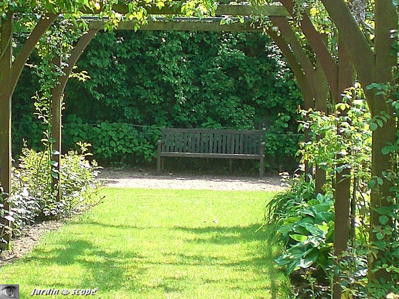 Banc en bois  sous pergola au Prieuré de Saint-Cosme (37)