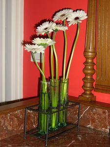 fleurs 2009