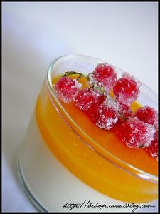 Panna_cotta_vanille__coulis_de_mangue_et_groseilles_givr_es