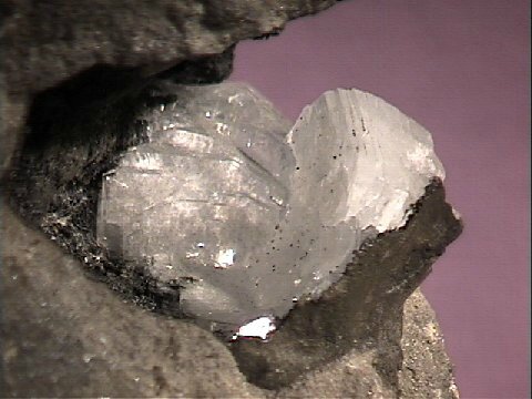 clinopti