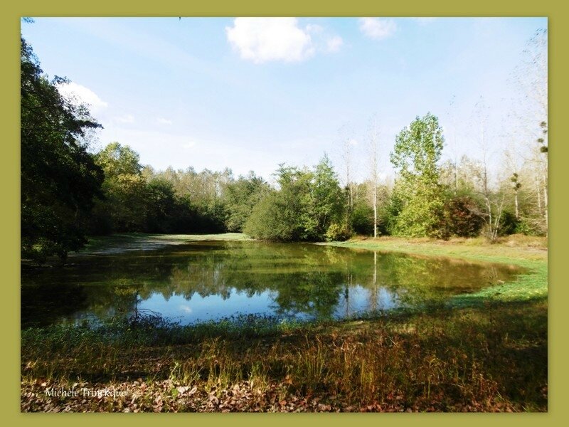 1-Etangs de la Marnière, de Vicq d'Auribat et St Jean de Lier 260917