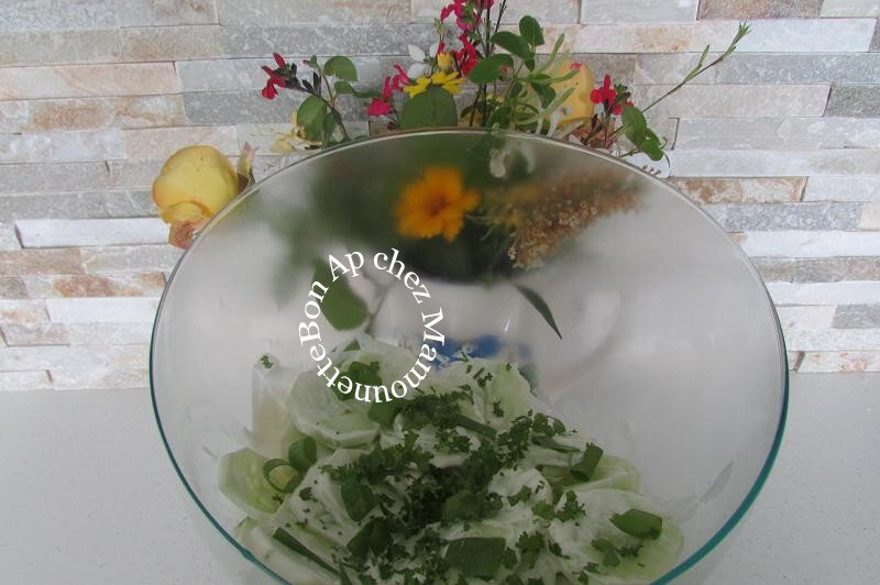 Concombre crème fleur de sel et persil ciboule du jardin 017