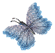 butterfly303