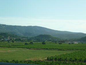 P1020615