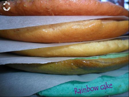 1011 Rainbow cake 4