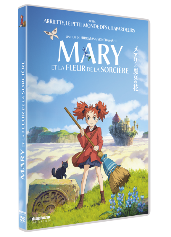MARY_DVD_3D_single