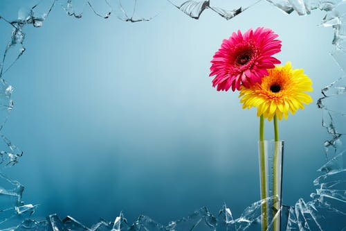 artwork-colorful-art-flowers-68604