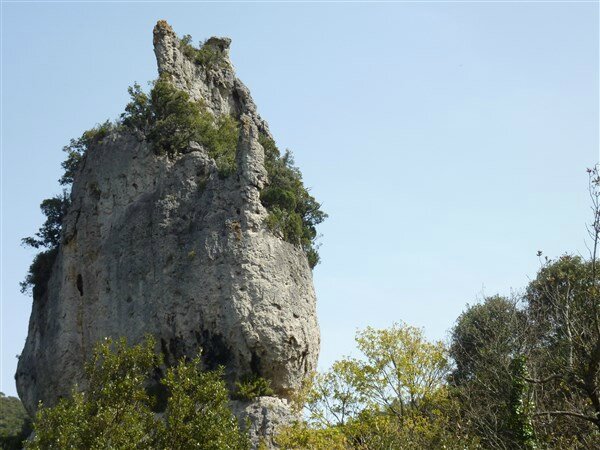 P1030672