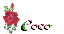 coco6