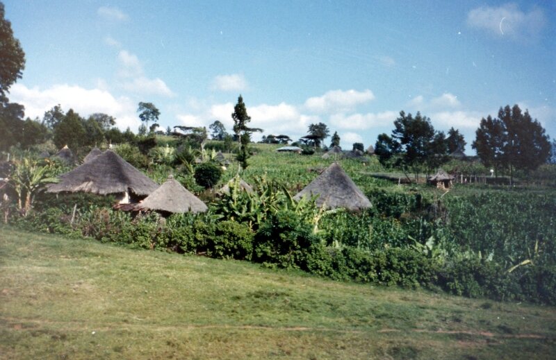 nord kenya x
