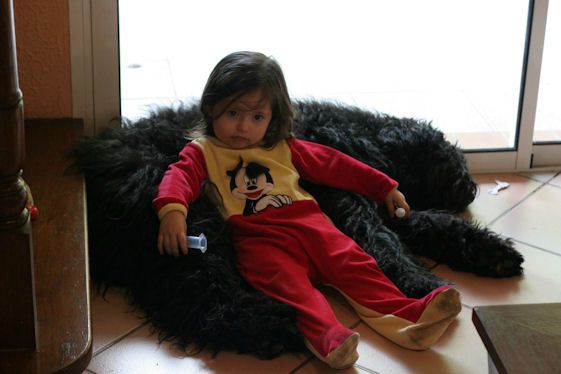 CAMILLE (2 ans ) et EXTRA DE LA DULLAGUE