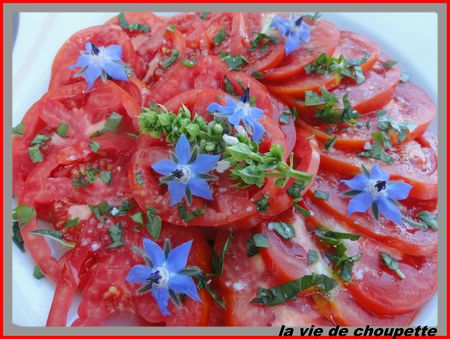 Recettes_light 072