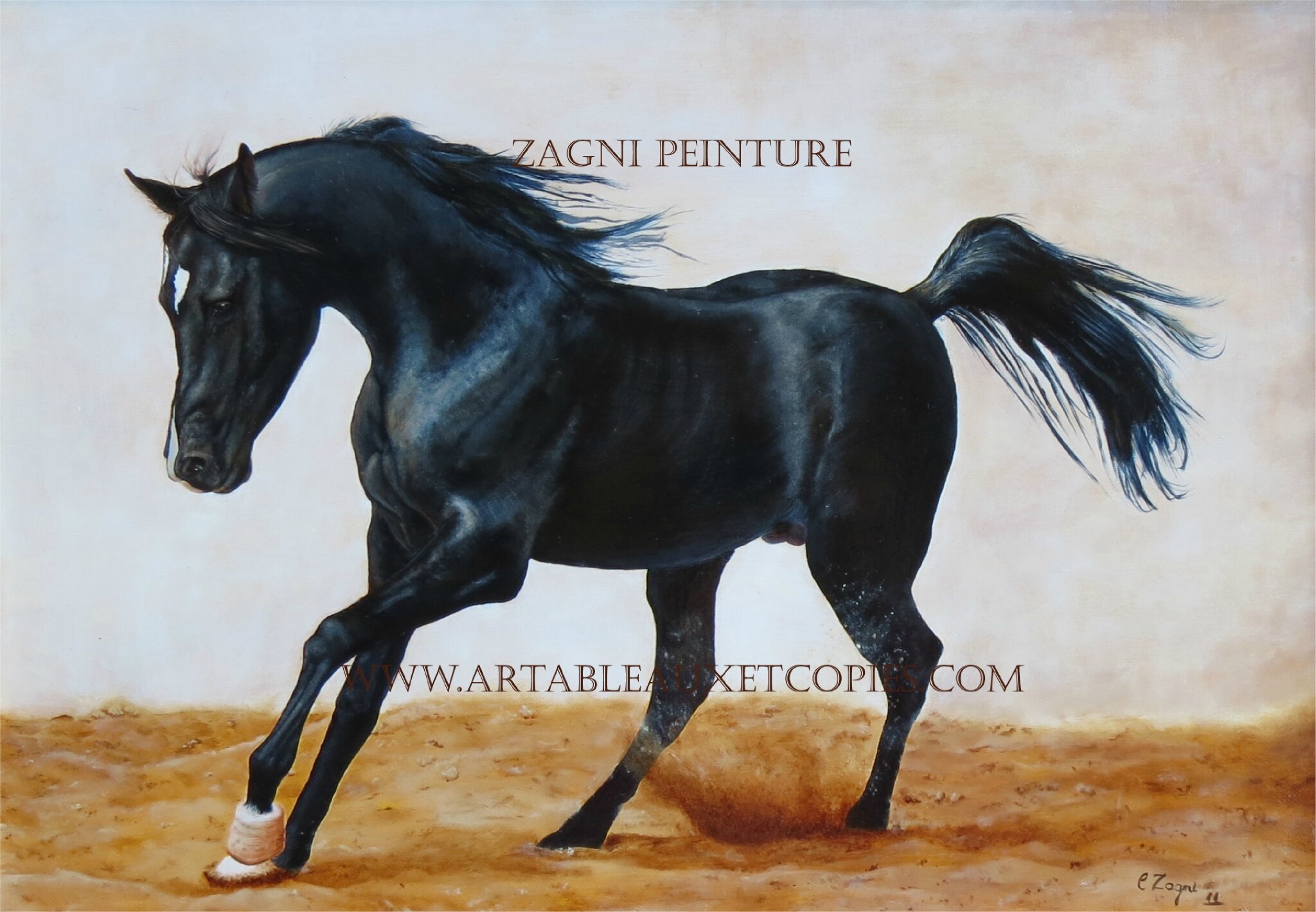 etalon-noir-web-www