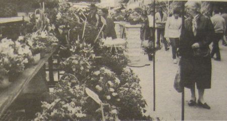 Marché aux fleurs 1984