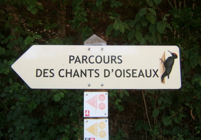 Parcours des chants d'oiseaux