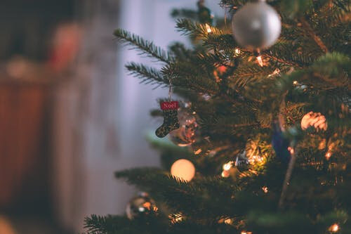 noel20_1
