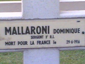 NDL_MALLARONI_D