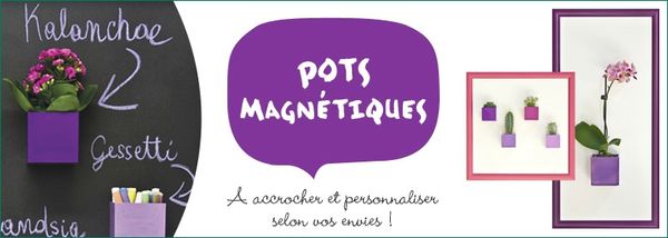 778x278_pots-magnetiques