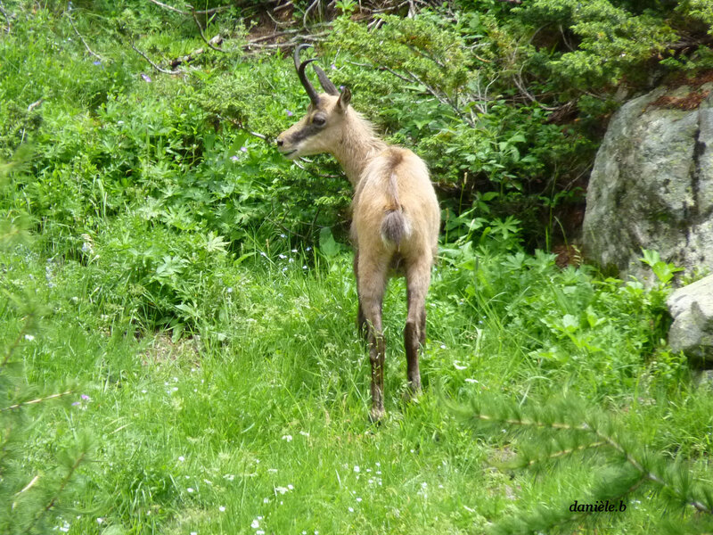 P1130321___Copie