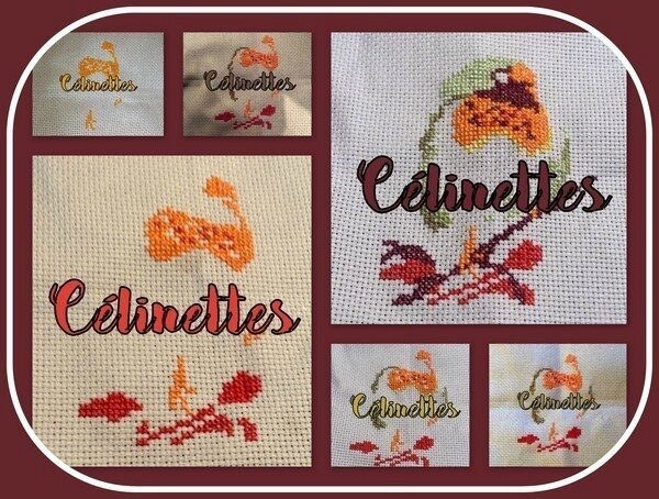 célimettes_salmar17_col2