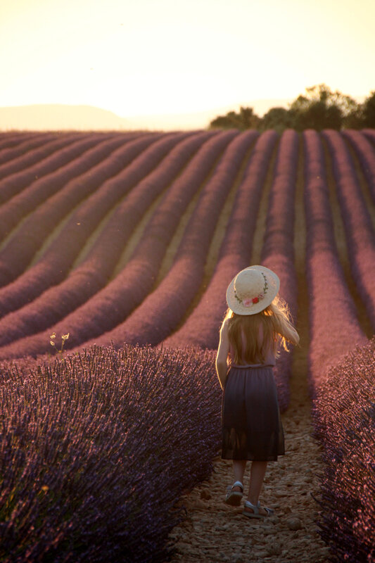 valensole_coucher_de_soleil