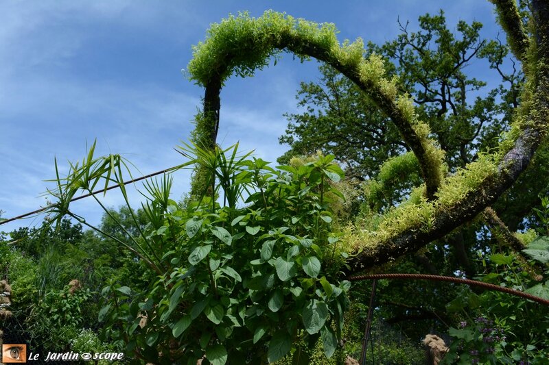 7-Le-jardin-flottant-des-songes-4