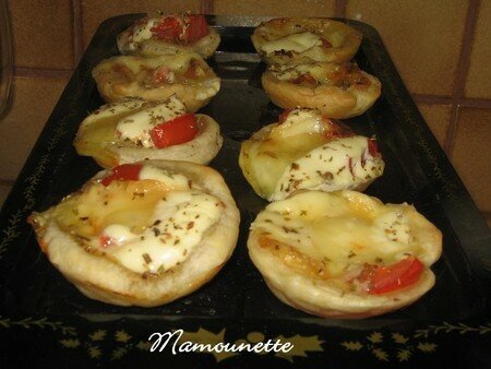 tartelettes_tomates__origan__maroilles__ap_ro_ou_entr_e_on_y_go_012