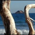 ILES - ILOTS - ILETS AUTOUR DE LA CORSE
