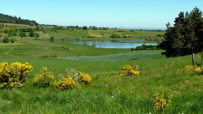 Paysage bucolique à souhait!